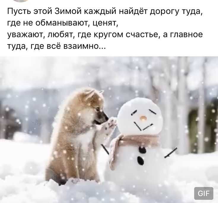 Ах, зимняя сказка, как ты хороша! цитаты и афоризмы про зиму