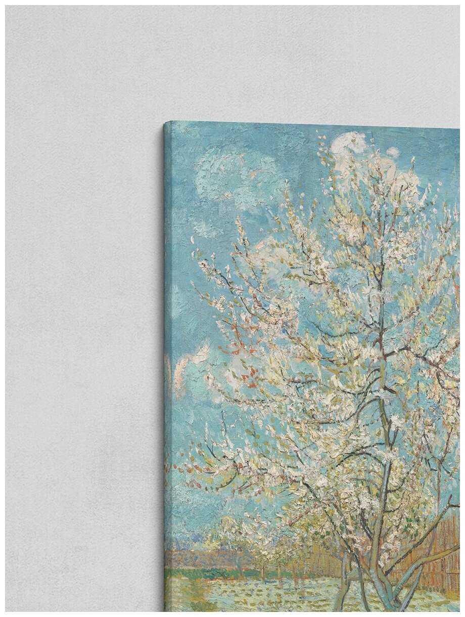 Цветущие сады - flowering orchards