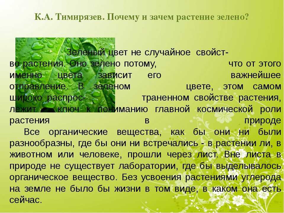 Секущая линия Василия Кандинского является ярким примером абстракционизма