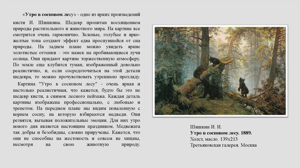 Фотографии самых красивых картин шишкина