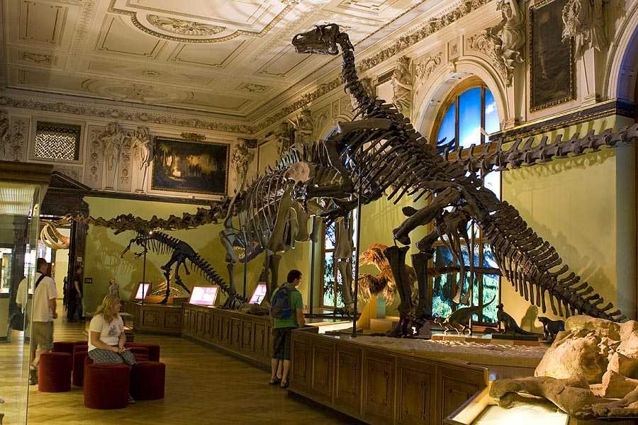 Самые необычные музеи мира: рейтинг из 10 наиболее странных