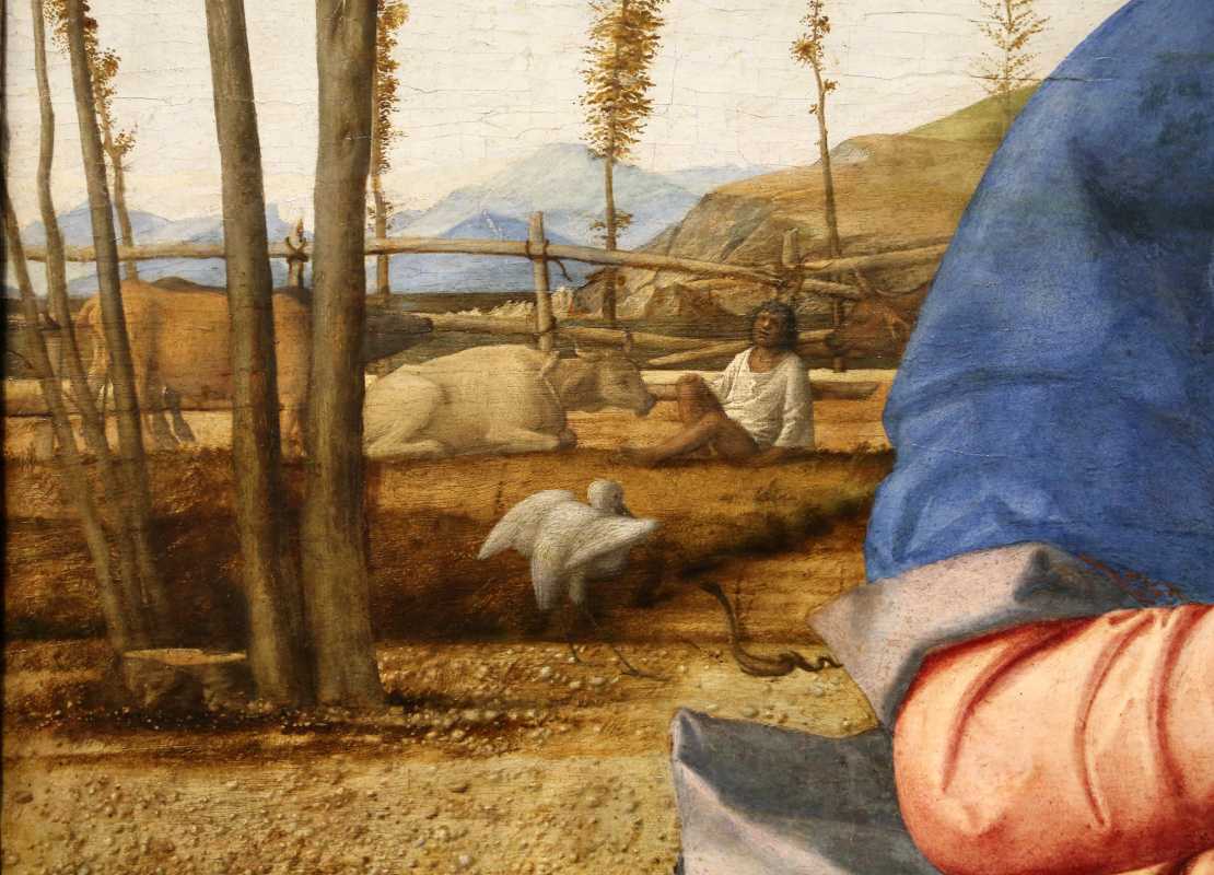 Джованни беллини: жизнь и творчество художника