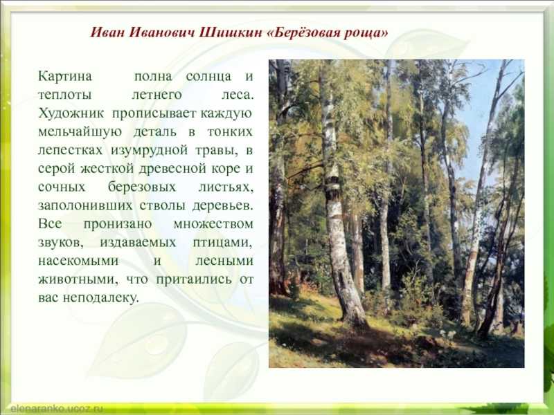 Сочинение-описание картины шишкина «дебри». картина шишкина дебри описание