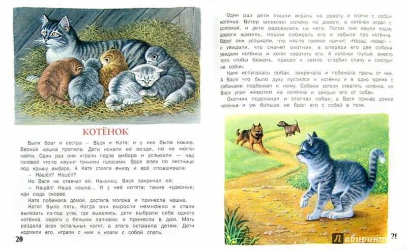 Топ 22 шедевра в лувре, которые стоит увидеть + фото