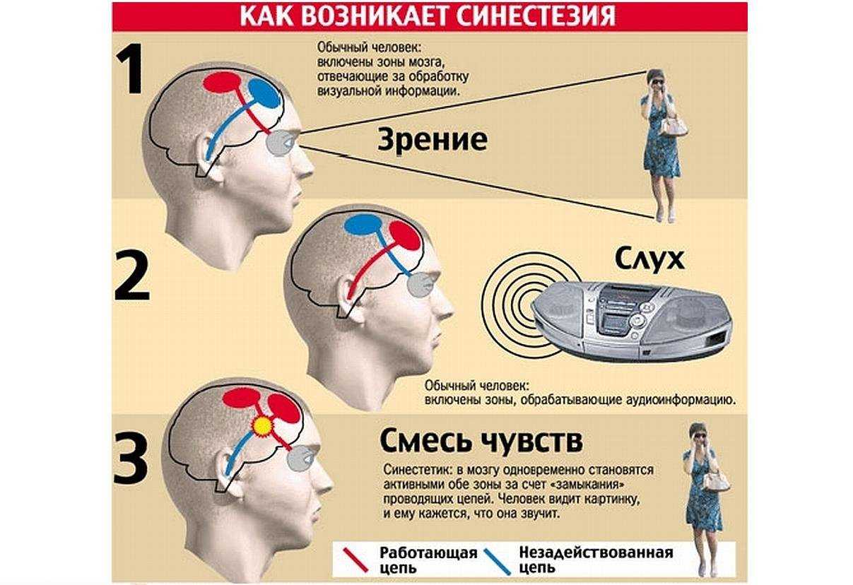 Почему зеленый цвет — это толстая и неподвижная корова, а у точки есть душа. искусствовед николай иванов о василии кандинском — блог storyport