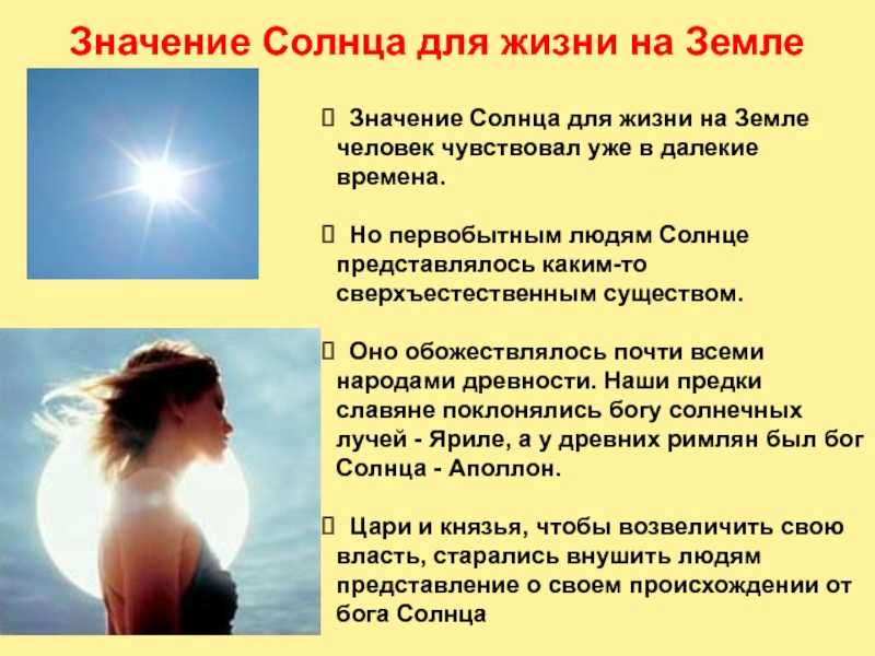 Сочинение по картине толстого цветы, фрукты, птица 5 класс (описание)