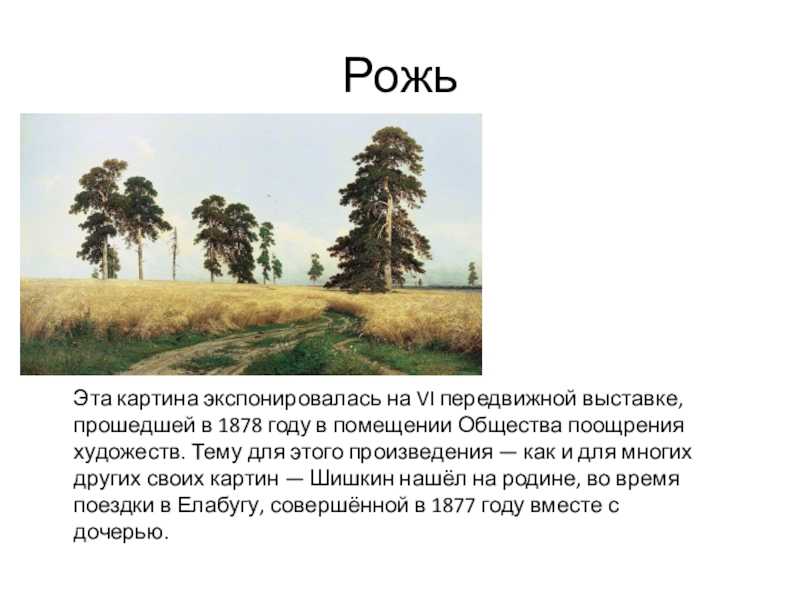 Рожь | иван иванович шишкин