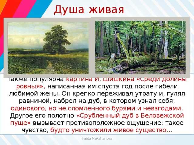 Сочинение по картине шишкина среди долины ровныя 4 класс описание картины