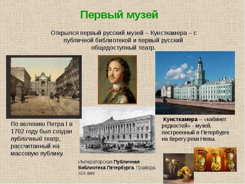 Кунсткамера в санкт-петербурге: история создания, экспонаты, фото