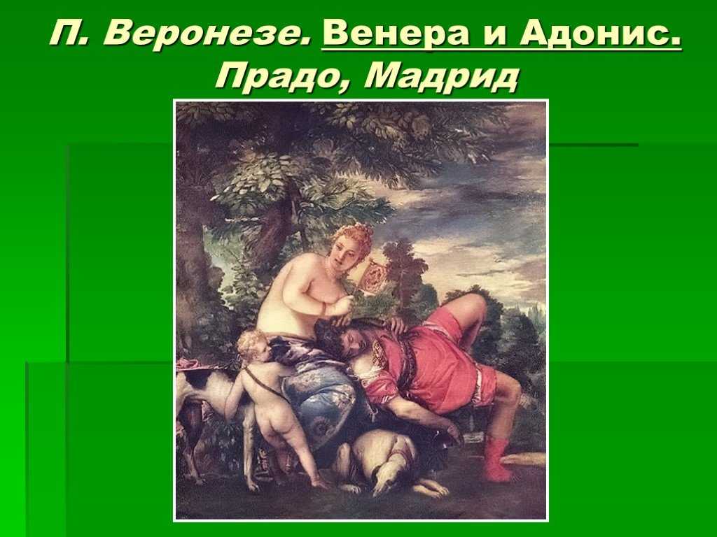 Картина венера и адонис