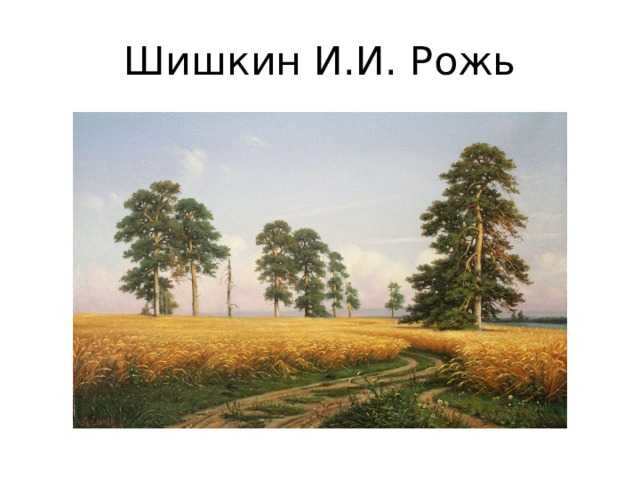 Беседа по картине и. и. шишкина «рожь»