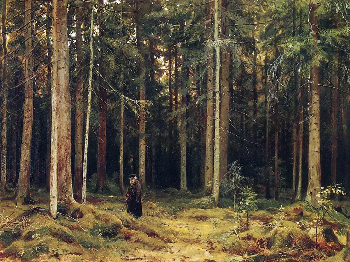 Какие картины великого пейзажиста шишкина считаются самыми дорогими, и из-за чего разгорелся скандал на аукционе