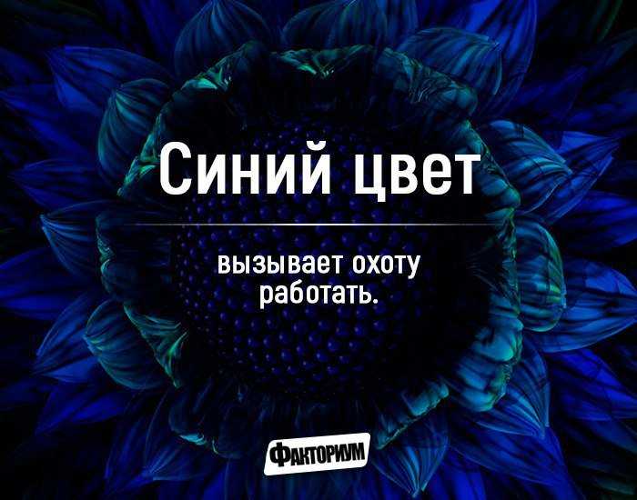 Марк шагал по небу. художник, очарованный библией
