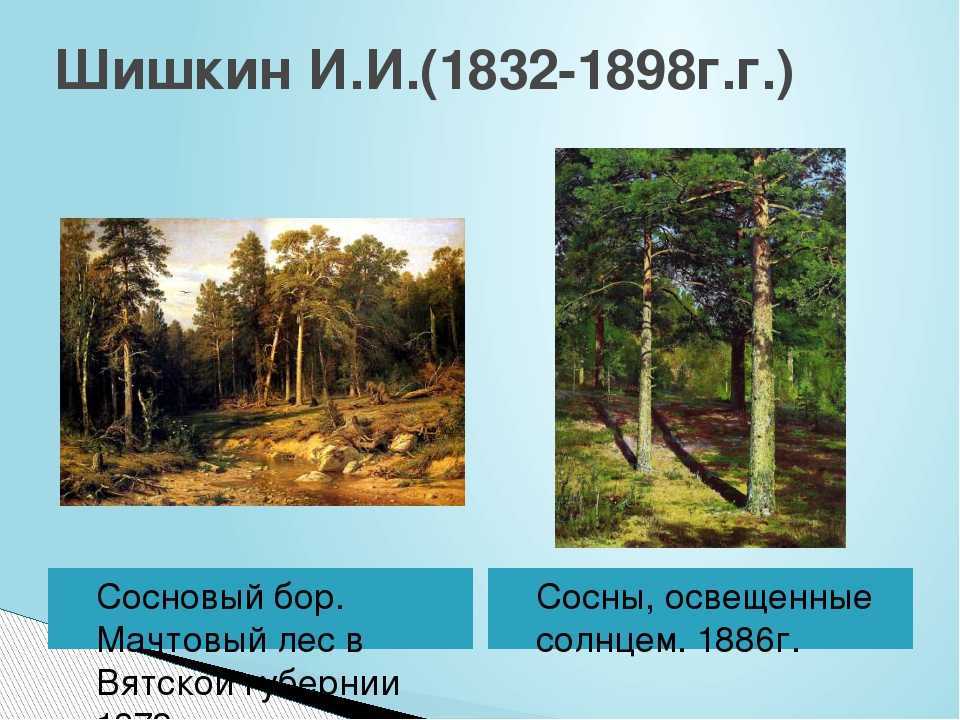 "сосновый бор. мачтовый лес в вятской губернии" и. шишкин
