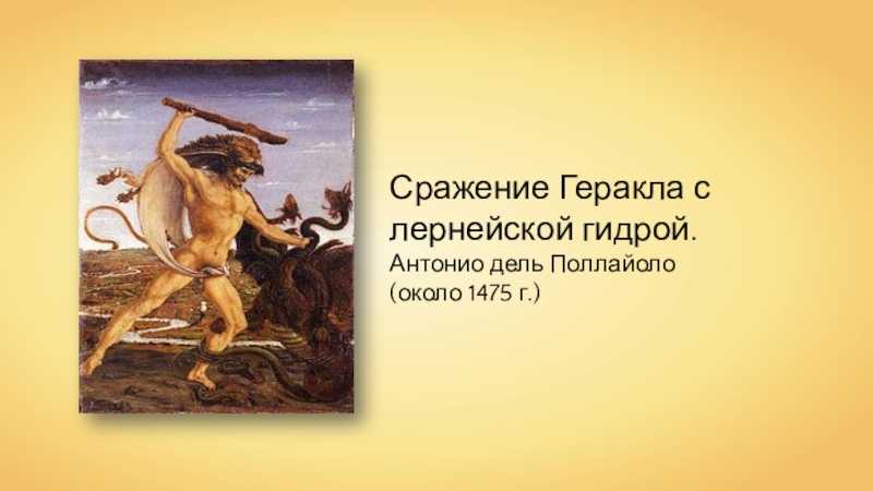 Геркулес и гидра (поллайоло) - википедия