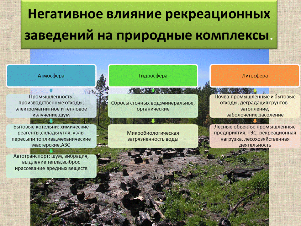В чем притяжение пейзажа русской природы: найдем ответы с магазином гобеленовый рай