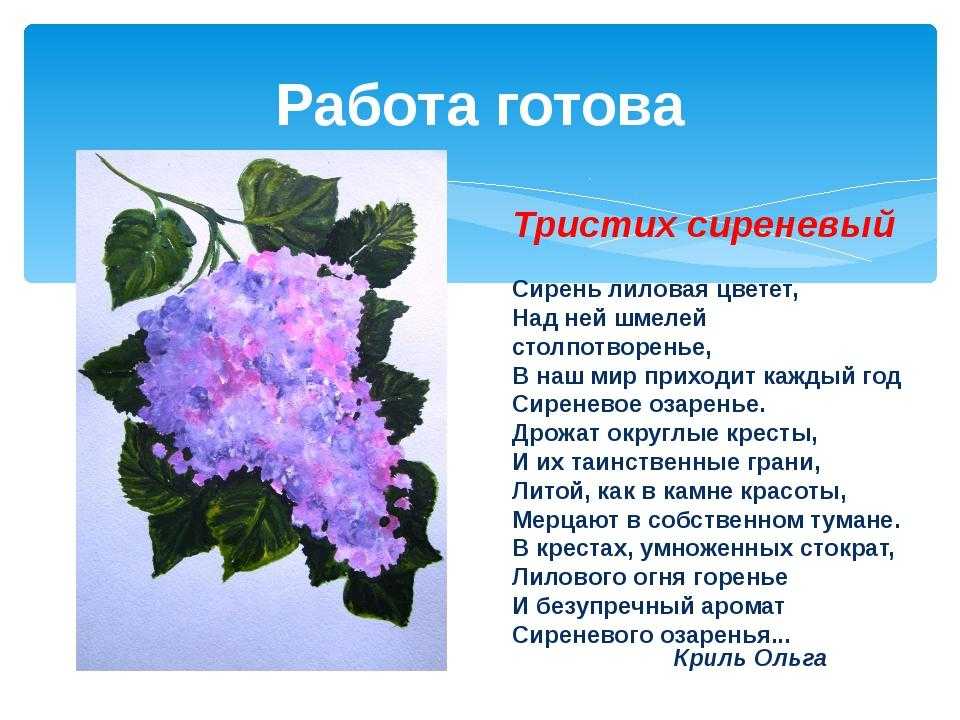 Сочинение по картине м. к. копытцевой летний день. цветет сирень