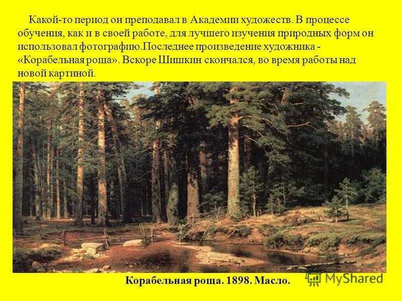 Сочинение-описание по картине корабельная роща шишкина 5 класс