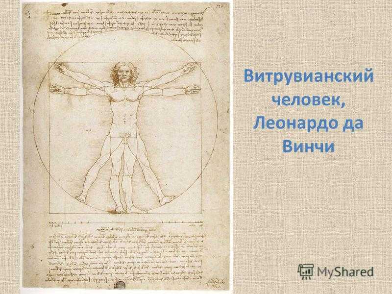 Какие тайны скрывает витрувианский человек
