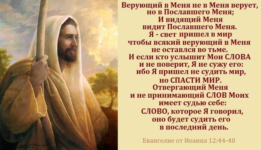 Биография рафаэля санти