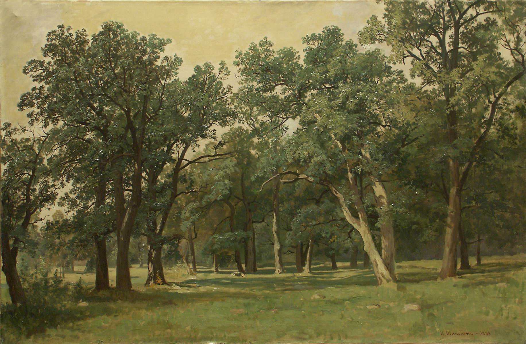 Бф29 галерея шишкина и.и.