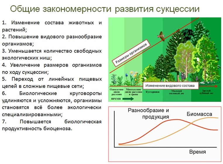 Взаимодействие человека с природой с ландшафтом не всегда длится столетиями егэ ответы вариант 2