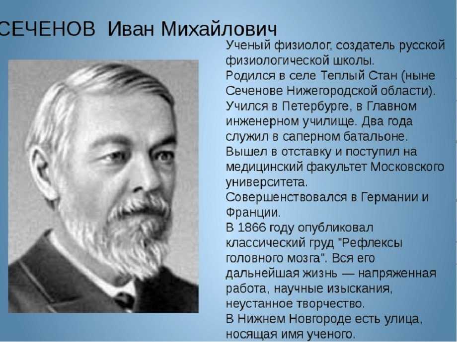 Биография альбрехта альтдорфера - биография