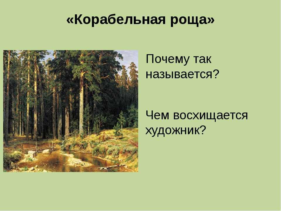 Сочинение-описание по картине корабельная роща шишкина 5 класс — litera.site — литературный сайт