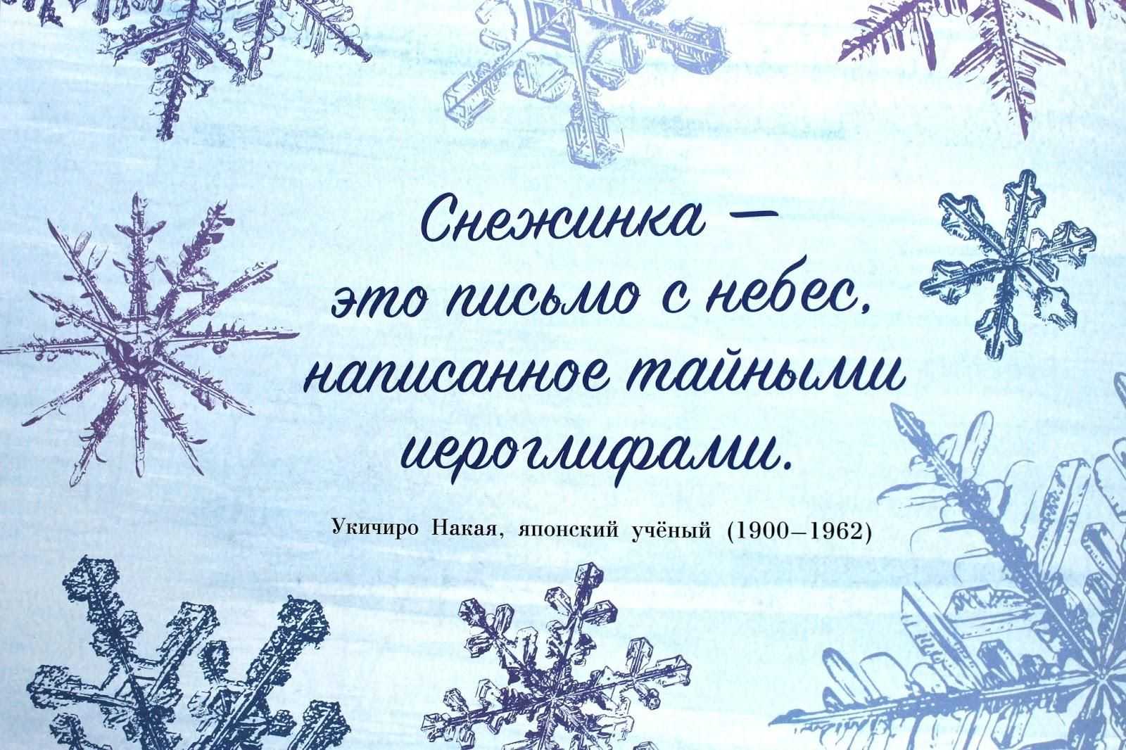 Снег: что это такое, как образуется, почему белый, откуда берется, фото и видео