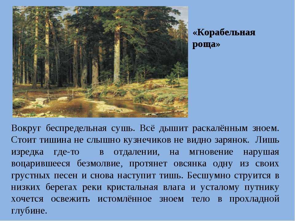Написать сочинение по картине шишкина корабельная роща 5 класс кратко