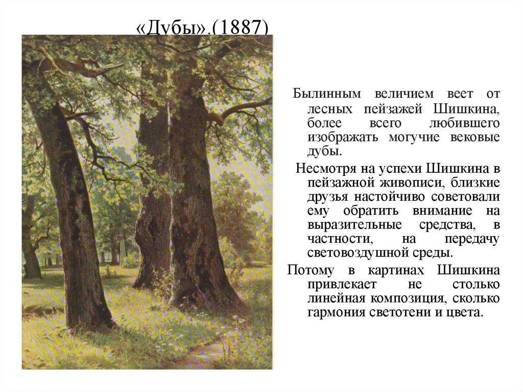 Дуб текст описание. Лесной пейзаж Шишкин 1832-1898. Дубы (1887) Шишкина.