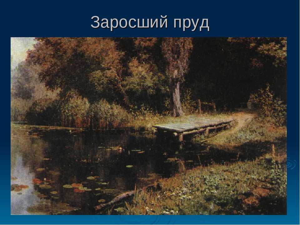 Картина "заросший пруд" поленова в. д.: история создания, описание и отзывы