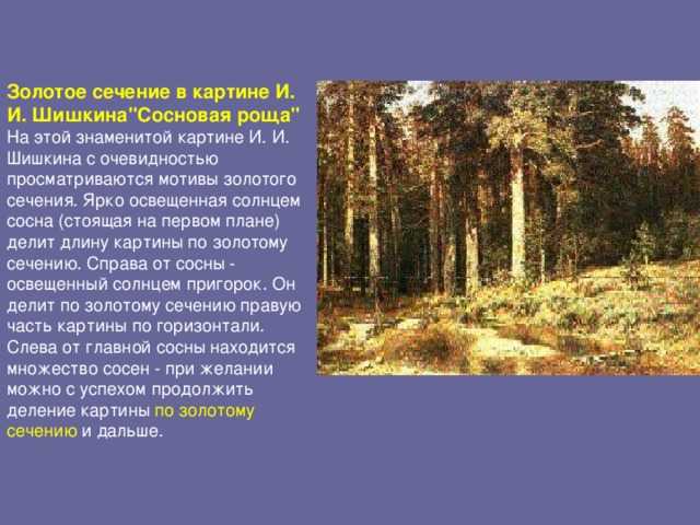 Какие картины шишкина находятся в третьяковской галерее.  и